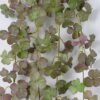 Artificial Plant 20*20*90cm Clover hanging GS-47122018 Leaves&Sprays&Foliages YeahFlower is one of Chinese leading OEM manufacturers and exporters , supplying the silk flowers, wholesale artificial trees