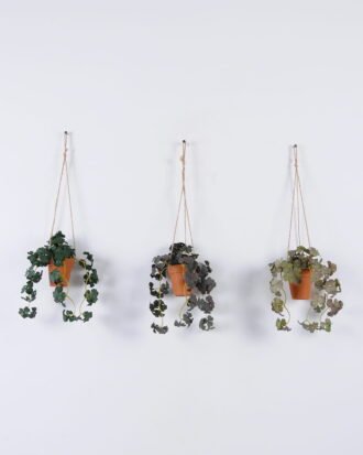 Artificial Plant 20*20*53cm Clover hanging in PP pot GS-47122024 Banners&Garlands YeahFlower is one of Chinese leading OEM manufacturers and exporters , supplying the silk flowers, wholesale artificial trees