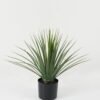 Artificial Plant 61*61*49cm Dracaena marginata tree in pp pot GS-59522032 Potted Flowers&Plants YeahFlower is one of Chinese leading OEM manufacturers and exporters , supplying the silk flowers, wholesale artificial trees