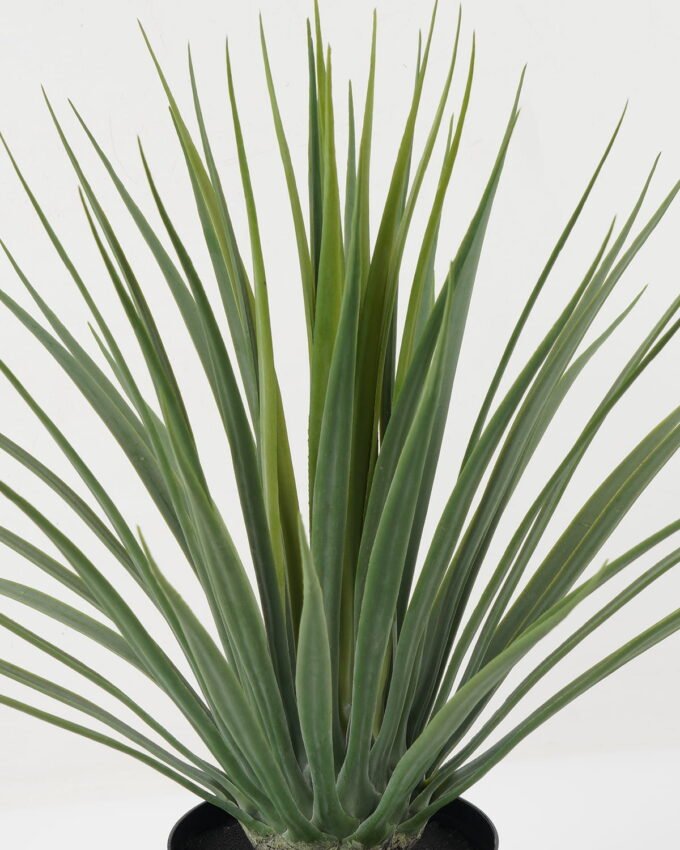 Artificial Plant 61*61*49cm Dracaena marginata tree in pp pot GS-59522032 Potted Flowers&Plants YeahFlower is one of Chinese leading OEM manufacturers and exporters , supplying the silk flowers, wholesale artificial trees