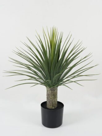 Artificial Plant 61*61*49cm Dracaena marginata tree in pp pot GS-59522032 Potted Flowers&Plants 3,000+ sqm showroom with thousands of artificial flowers, plants & trees ready for global sourcing.