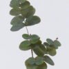 Artificial Plant 12*67cm Eucalyptus single stem GS-23122002 Leaves&Sprays&Foliages YeahFlower is one of Chinese leading OEM manufacturers and exporters , supplying the silk flowers, wholesale artificial trees
