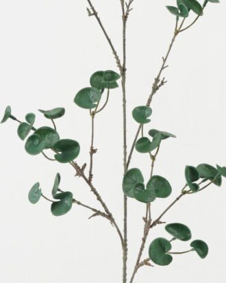 Artificial Plant 25*25*90cm Hydrocotyle verticillata *12 single stem GS-47122034-G1 Leaves&Sprays&Foliages YeahFlower is one of Chinese leading OEM manufacturers and exporters , supplying the silk flowers, wholesale artificial trees