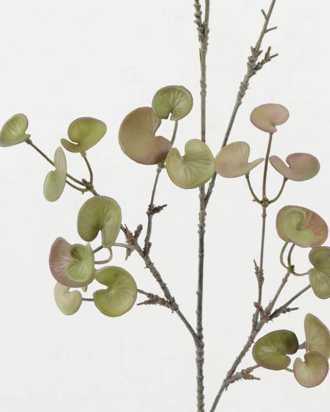 Artificial Plant 25*25*90cm Hydrocotyle verticillata *12 single stem GS-47122034-G3 Leaves&Sprays&Foliages YeahFlower is one of Chinese leading OEM manufacturers and exporters , supplying the silk flowers, wholesale artificial trees