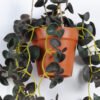 Artificial Plant Hydrocotyle verticillata hanging 6 in PP pot GS-47122028_2 Artificial Plant 24*24*59cm Hydrocotyle verticillata hanging *6 in PP pot GS-47122028 Banners&Garlands YeahFlower is one of Chinese leading OEM manufacturers and exporters , supplying the silk flowers, wholesale artificial trees