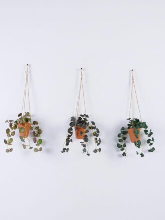 Artificial Flower 30*30*66cm Morning glory hanging GS-16822047 Banners&Garlands YeahFlower is one of Chinese leading OEM manufacturers and exporters , supplying the silk flowers, wholesale artificial trees