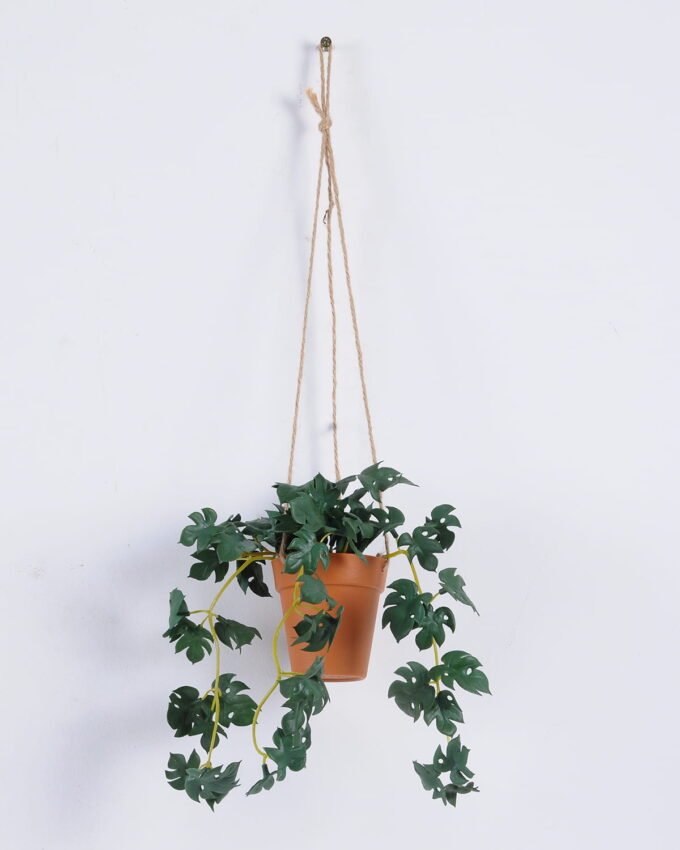 Artificial Plant Hydrocotyle verticillata hanging in PP pot GS-47122022_3 Artificial Plant 18*18*54cm Hydrocotyle verticillata hanging in PP pot GS-47122022 Banners&Garlands YeahFlower is one of Chinese leading OEM manufacturers and exporters , supplying the silk flowers, wholesale artificial trees