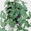 Artificial Plant 20*20*43cm Leaf in PP pot GS-47122040 Leaves&Sprays&Foliages YeahFlower is one of Chinese leading OEM manufacturers and exporters , supplying the silk flowers, wholesale artificial trees
