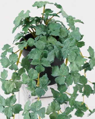 Artificial Plant 20*20*43cm Leaf in PP pot GS-47122040 Leaves&Sprays&Foliages YeahFlower is one of Chinese leading OEM manufacturers and exporters , supplying the silk flowers, wholesale artificial trees