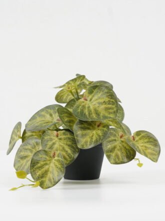 Artificial Plant 23*20*16.5cm Leaves in PP pot GS-03322103 Potted Flowers&Plants 3,000+ sqm showroom with thousands of artificial flowers, plants & trees ready for global sourcing.