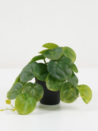 Artificial Plant 23*20*16.5cm Leaves in PP pot GS-03322102 Potted Flowers&Plants 3,000+ sqm showroom with thousands of artificial flowers, plants & trees ready for global sourcing.