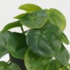 Artificial Plant 23*20*16.5cm  Pilea peperomioides in PP pot GS-03322101 Potted Flowers&Plants YeahFlower is one of Chinese leading OEM manufacturers and exporters , supplying the silk flowers, wholesale artificial trees