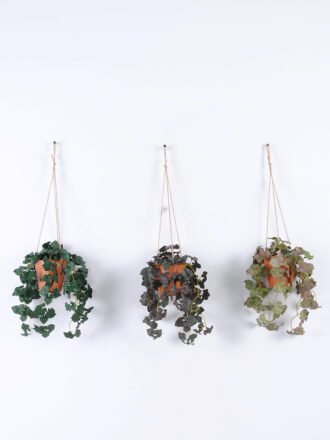Artificial Plant 38*38*80cm Saxifrage *11 hanging GS-29822016 Banners&Garlands YeahFlower is one of Chinese leading OEM manufacturers and exporters , supplying the silk flowers, wholesale artificial trees