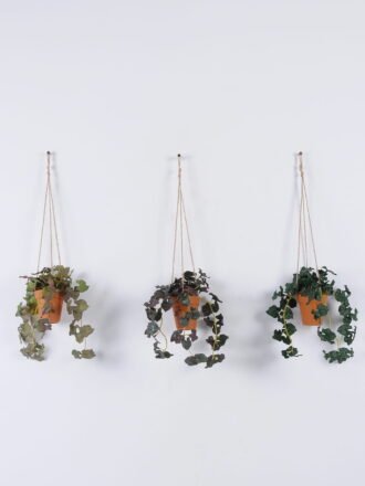 Artificial Plant 20*20*53cm Sweet potato leaf hanging in PP pot GS-47122026 Banners&Garlands 3,000+ sqm showroom with thousands of artificial flowers, plants & trees ready for global sourcing.