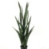 Artificial Plant 55*55*138cm Sansevieria *9 in PP pot GS-59522040 Potted Flowers&Plants YeahFlower is one of Chinese leading OEM manufacturers and exporters , supplying the silk flowers, wholesale artificial trees