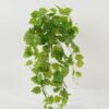 Artificial Plant Saxifrage 11 hanging GS-29822016_1 Artificial Plant 38*38*80cm Saxifrage *11 hanging GS-29822016 Banners&Garlands YeahFlower is one of Chinese leading OEM manufacturers and exporters , supplying the silk flowers, wholesale artificial trees
