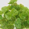 Artificial Plant 30*30*42cm Saxifrage *7 bush GS-29822015 Leaves&Sprays&Foliages YeahFlower is one of Chinese leading OEM manufacturers and exporters , supplying the silk flowers, wholesale artificial trees