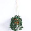 Artificial Plant Sweet potato leaf hanging 6 in PP pot GS-47122032_5 Artificial Plant 24*24*59cm Sweet potato leaf hanging *6 in PP pot GS-47122032 Banners&Garlands YeahFlower is one of Chinese leading OEM manufacturers and exporters , supplying the silk flowers, wholesale artificial trees