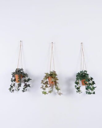 Artificial Plant 20*20*53cm Sweet potato leaf hanging in PP pot GS-47122026 Banners&Garlands YeahFlower is one of Chinese leading OEM manufacturers and exporters , supplying the silk flowers, wholesale artificial trees