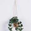 Artificial Plant Sweet potato leaf hanging in PP pot GS-47122026_3 Artificial Plant 20*20*53cm Sweet potato leaf hanging in PP pot GS-47122026 Banners&Garlands YeahFlower is one of Chinese leading OEM manufacturers and exporters , supplying the silk flowers, wholesale artificial trees