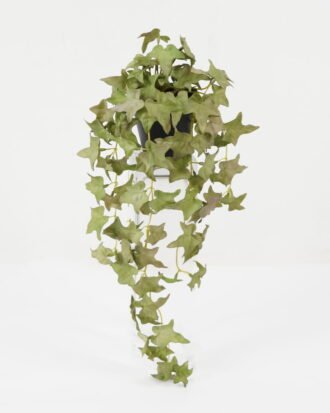 Artificial Plant 20*20*43 Sweet potato leaf in PP pot GS-47122041 Leaves&Sprays&Foliages YeahFlower is one of Chinese leading OEM manufacturers and exporters , supplying the silk flowers, wholesale artificial trees