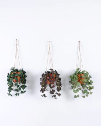 Artificial Plant 24*24*58cm Turtle back hanging *6 in PP pot GS-47122029 Banners&Garlands YeahFlower is one of Chinese leading OEM manufacturers and exporters , supplying the silk flowers, wholesale artificial trees