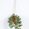 Artificial Plant Turtle back hanging 6 in PP pot GS-47122029_4 Artificial Plant 24*24*58cm Turtle back hanging *6 in PP pot GS-47122029 Banners&Garlands YeahFlower is one of Chinese leading OEM manufacturers and exporters , supplying the silk flowers, wholesale artificial trees