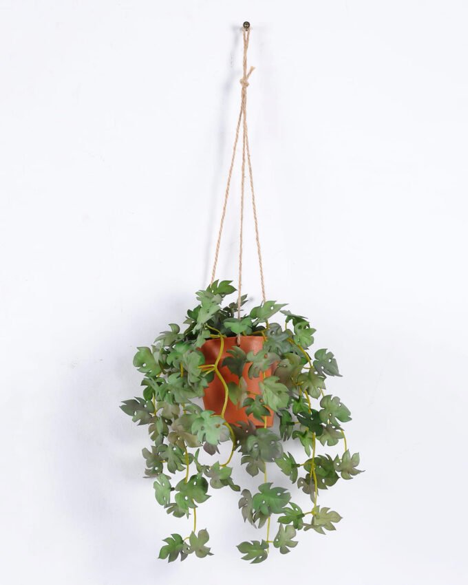 Artificial Plant Turtle back hanging 6 in PP pot GS-47122029_4 Artificial Plant 24*24*58cm Turtle back hanging *6 in PP pot GS-47122029 Banners&Garlands YeahFlower is one of Chinese leading OEM manufacturers and exporters , supplying the silk flowers, wholesale artificial trees