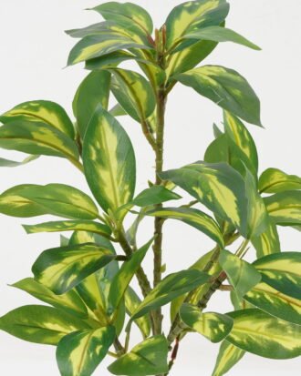 Artificial Plant 28*28*39cm Variable konoha *6 single stem GS-29822012 Leaves&Sprays&Foliages YeahFlower is one of Chinese leading OEM manufacturers and exporters , supplying the silk flowers, wholesale artificial trees