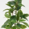Artificial Plant 28*28*80cm Variable konoha *6 single stem GS-29822014 Leaves&Sprays&Foliages YeahFlower is one of Chinese leading OEM manufacturers and exporters , supplying the silk flowers, wholesale artificial trees