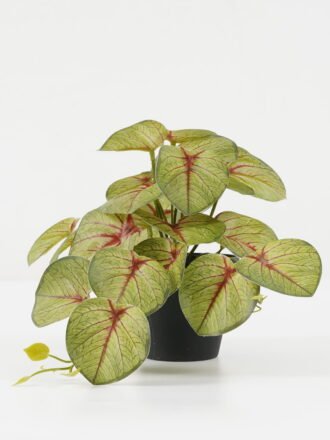 Artificial Plant 23*20*16.5cm  Pilea peperomioides in PP pot GS-03322101 Potted Flowers&Plants 3,000+ sqm showroom with thousands of artificial flowers, plants & trees ready for global sourcing.