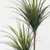 Artificial Tree 150cm Yucca tree in PP pot GS-67322041 Tree&Plant YeahFlower is one of Chinese leading OEM manufacturers and exporters , supplying the silk flowers, wholesale artificial trees
