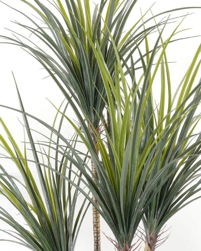 Artificial Tree 160cm Yucca tree in PP pot GS-67322042 Tree&Plant YeahFlower is one of Chinese leading OEM manufacturers and exporters , supplying the silk flowers, wholesale artificial trees