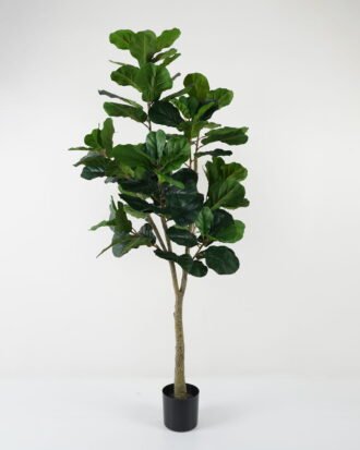 Artificial Tree 180cm Ficus tree in PP pot GS-43422032 Tree&Plant YeahFlower is one of Chinese leading OEM manufacturers and exporters , supplying the silk flowers, wholesale artificial trees Artificial Tree 180cm Ficus tree in PP pot GS-43422032 Tree&Plant YeahFlower is one of Chinese leading OEM manufacturers and exporters , supplying the silk flowers, wholesale artificial trees