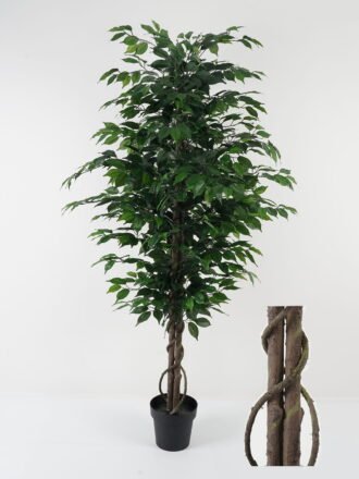 Artificial Tree 180cm Ficus tree in PP pot GS-43422032 Tree&Plant 3,000+ sqm showroom with thousands of artificial flowers, plants & trees ready for global sourcing.