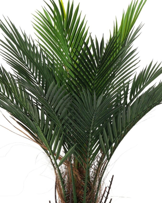 Artificial Tree 70*70*90cm Kwai tree in PP pot GS-67322045CONTI Tree&Plant YeahFlower is one of Chinese leading OEM manufacturers and exporters , supplying the silk flowers, wholesale artificial trees