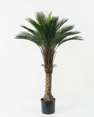 Artificial Tree 80*80*133cm Kwai tree in PP pot GS-67322046CONTI Tree&Plant YeahFlower is one of Chinese leading OEM manufacturers and exporters , supplying the silk flowers, wholesale artificial trees