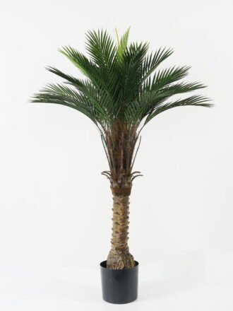 Artificial Tree 70*70*90cm Kwai tree in PP pot GS-67322045CONTI Tree&Plant 3,000+ sqm showroom with thousands of artificial flowers, plants & trees ready for global sourcing.