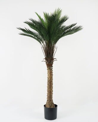 Artificial Tree 90*90*153cm Kwai tree in PP pot GS-67322047CONTI Tree&Plant YeahFlower is one of Chinese leading OEM manufacturers and exporters , supplying the silk flowers, wholesale artificial trees