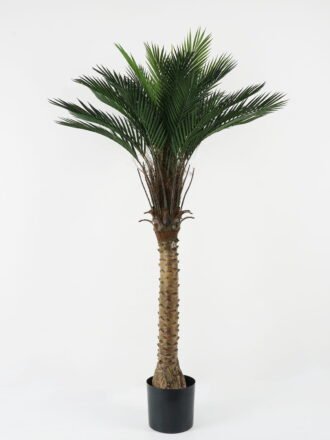 Artificial Tree 80*80*133cm Kwai tree in PP pot GS-67322046CONTI Tree&Plant 3,000+ sqm showroom with thousands of artificial flowers, plants & trees ready for global sourcing.