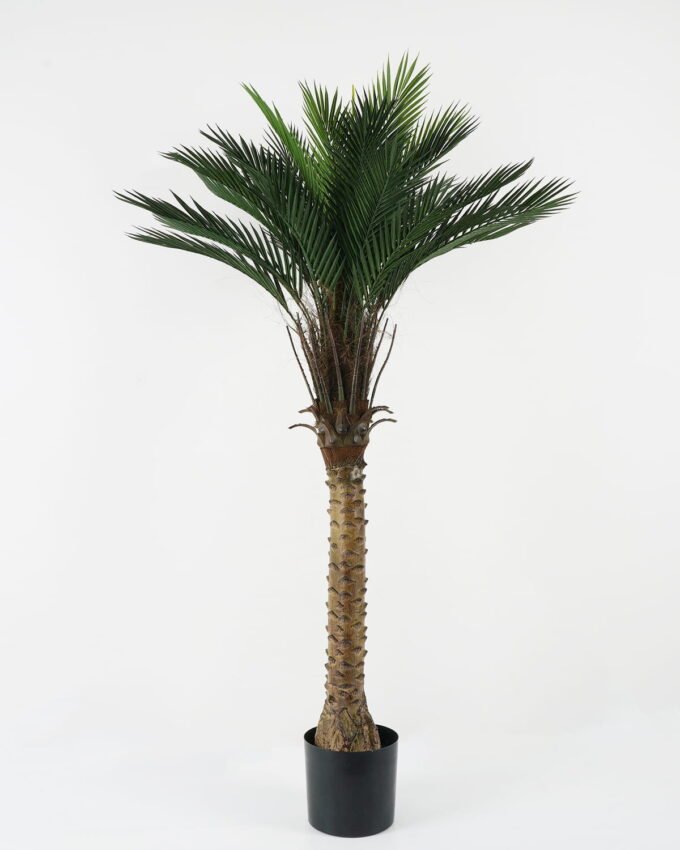 Artificial Tree 90*90*153cm Kwai tree in PP pot GS-67322047CONTI Tree&Plant YeahFlower is one of Chinese leading OEM manufacturers and exporters , supplying the silk flowers, wholesale artificial trees