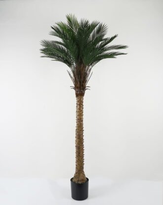 Artificial Tree 100*100*192cm Kwai tree in PP pot GS-67322048CONTI Tree&Plant YeahFlower is one of Chinese leading OEM manufacturers and exporters , supplying the silk flowers, wholesale artificial trees