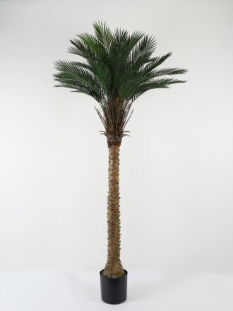 Artificial Tree 90*90*153cm Kwai tree in PP pot GS-67322047CONTI Tree&Plant 3,000+ sqm showroom with thousands of artificial flowers, plants & trees ready for global sourcing.