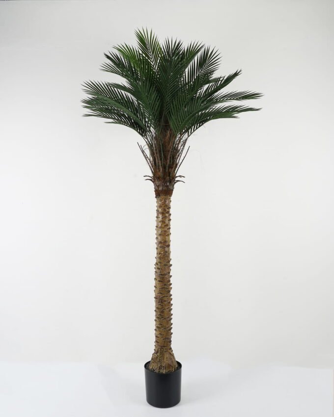 Artificial Tree 100*100*192cm Kwai tree in PP pot GS-67322048CONTI Tree&Plant YeahFlower is one of Chinese leading OEM manufacturers and exporters , supplying the silk flowers, wholesale artificial trees