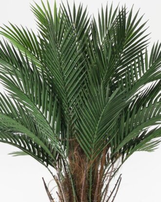 Artificial Tree 100*100*192cm Kwai tree in PP pot GS-67322048CONTI Tree&Plant YeahFlower is one of Chinese leading OEM manufacturers and exporters , supplying the silk flowers, wholesale artificial trees