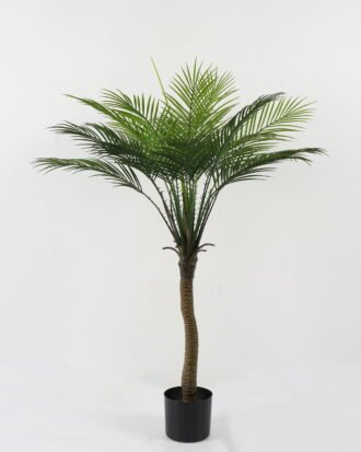 Artificial Tree 80*80*110cm Kwai tree in PP pot GS-67322050CONTI Tree&Plant YeahFlower is one of Chinese leading OEM manufacturers and exporters , supplying the silk flowers, wholesale artificial trees