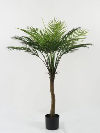 Artificial Tree 95*70*133cm Kwai tree in PP pot GS-67322051CONTI Tree&Plant 3,000+ sqm showroom with thousands of artificial flowers, plants & trees ready for global sourcing.