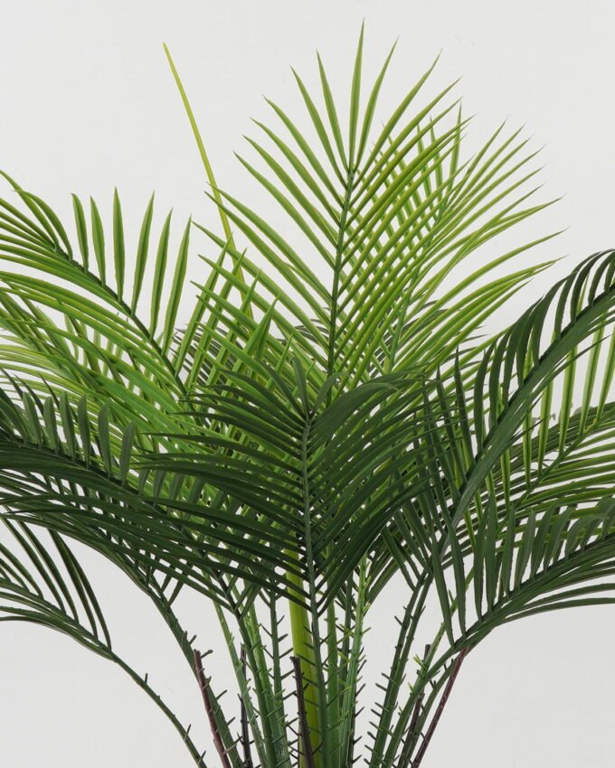 Artificial Tree 80*80*110cm Kwai tree in PP pot GS-67322050CONTI Tree&Plant YeahFlower is one of Chinese leading OEM manufacturers and exporters , supplying the silk flowers, wholesale artificial trees