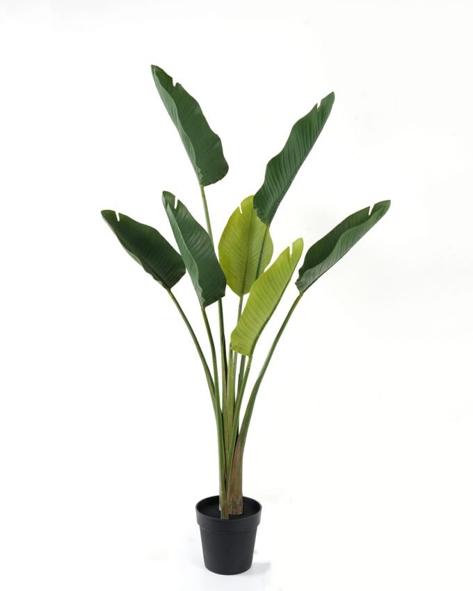 Artificial Tree 90*90*154cm Strelitziaceae *2 in PP pot GS-59522042 Tree&Plant YeahFlower is one of Chinese leading OEM manufacturers and exporters , supplying the silk flowers, wholesale artificial trees