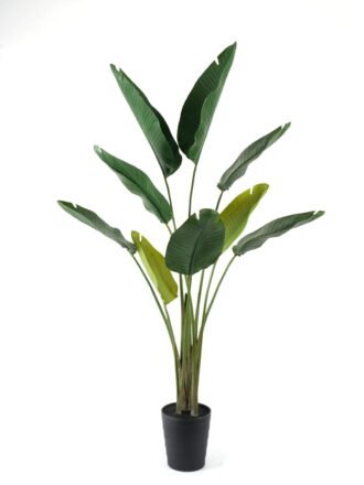 Artificial Tree 90*90*154cm Strelitziaceae *2 in PP pot GS-59522042 Tree&Plant 3,000+ sqm showroom with thousands of artificial flowers, plants & trees ready for global sourcing.
